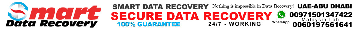 nas data recovery doha